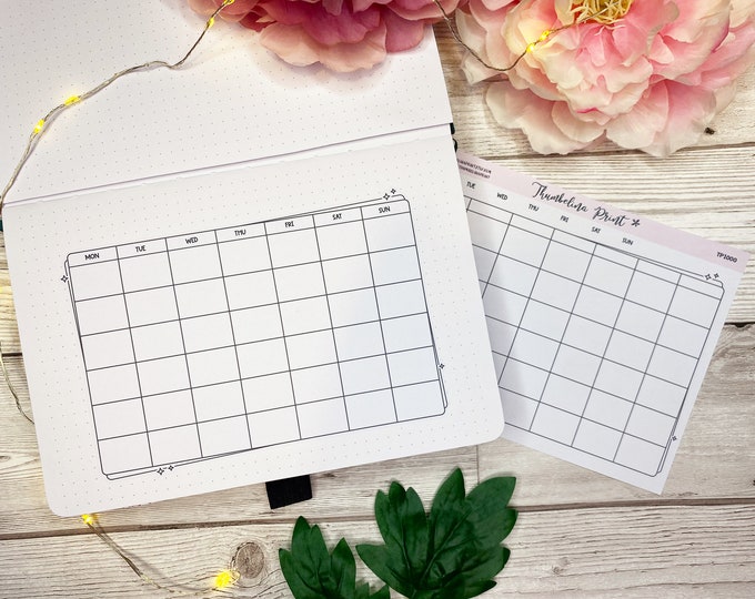 Large Landscape Blank Calendar Planner Sticker Decorative & Functional