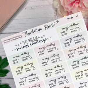 Money Saving Challenge Stickers for Decorative And Functional Planning, Bullet Journals And More