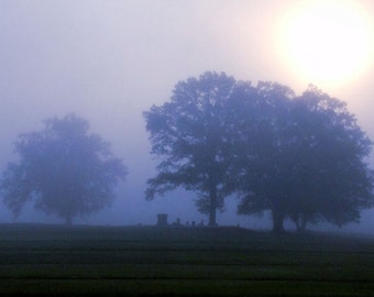 Blue Misty Morning