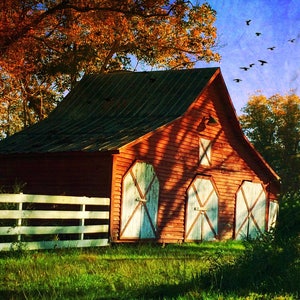 Red Barn Birds