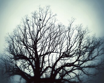 Dark Tree