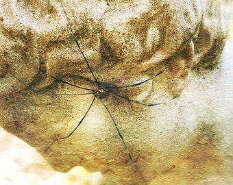 Web of Thoughts