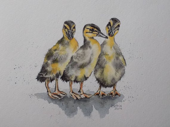 Original Duckling Baby Duck Trio Watercolour Painting Etsy