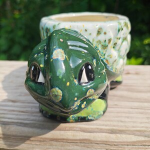 Turtle planter