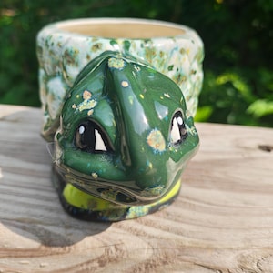 Turtle planter