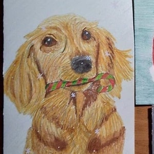 Holiday Dachshund Cards