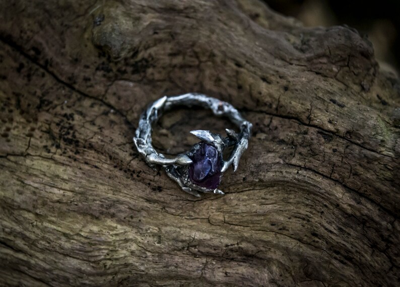 strega fashion goth wicca dark mori viking celtic forest pagan Deva raw crystal gothic witchy Amethyst twig witchcraft witch