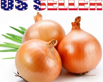 ORGANIC VEGETABLE ONION STUTTGART 600 SEEDS