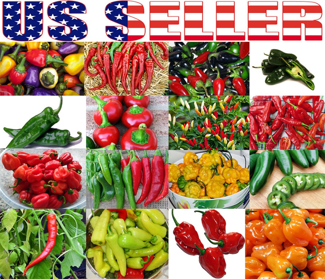 30 Hot Pepper Mix Seeds 16 Varieties Heirloom NONGMO Habanero Etsy Sweden