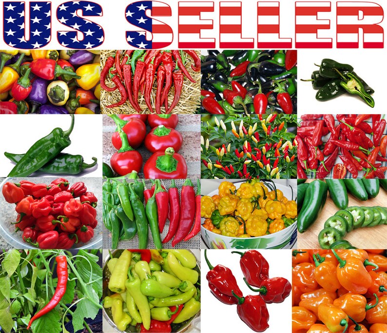 30 Hot Pepper Mix Seeds 16 Varieties Heirloom NONGMO Habanero Etsy