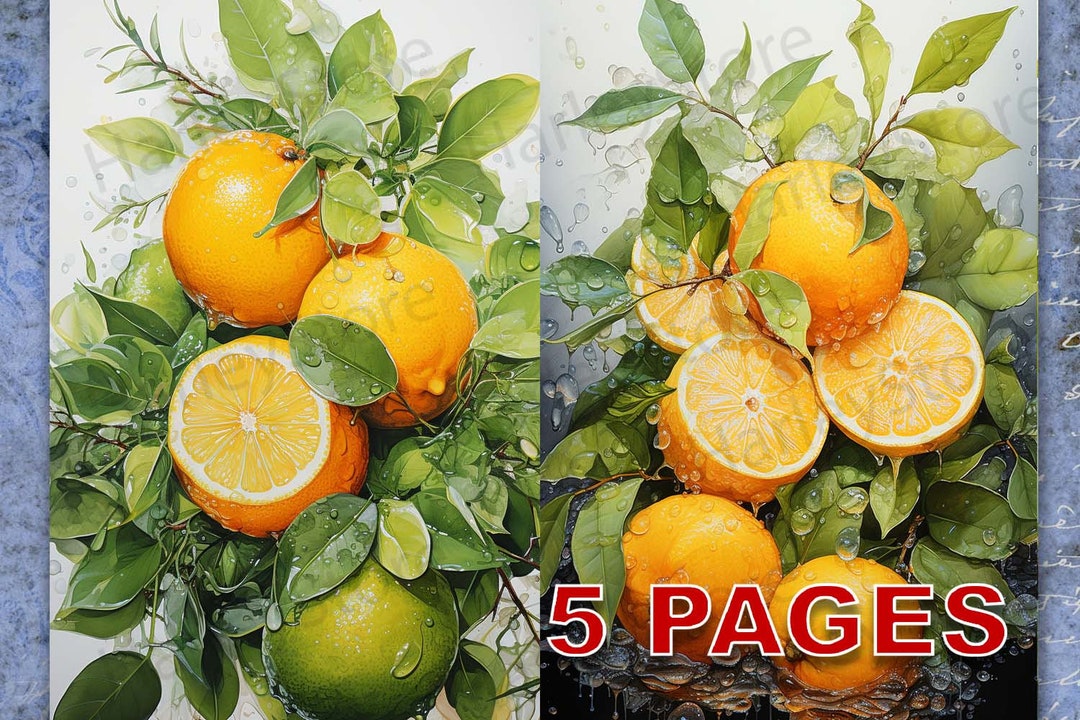 Citrus Lemons Fruit Printable Ephemera Watercolor Clipart 20JPG ...