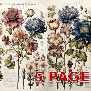 Vintage Victorian Ephemera Junk Journal Watercolor Clipart Elements Commercial License Printable Digital Download Postcard Flower A27
