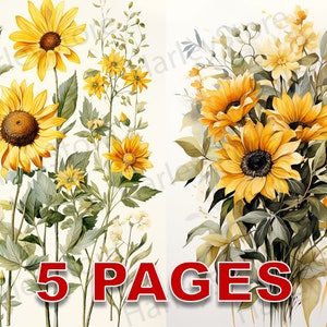 Girassóis Ephemera Junk Journal Aquarela Clipart 20 JPG Elements Licença comercial para impressão Download digital cartão postal amarelo C61