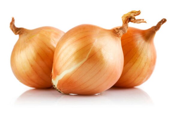 150 ORGANICALLY GROWN Sweet Spanish Yellow Onion Seeds Heirloom NON-GMO Mild US