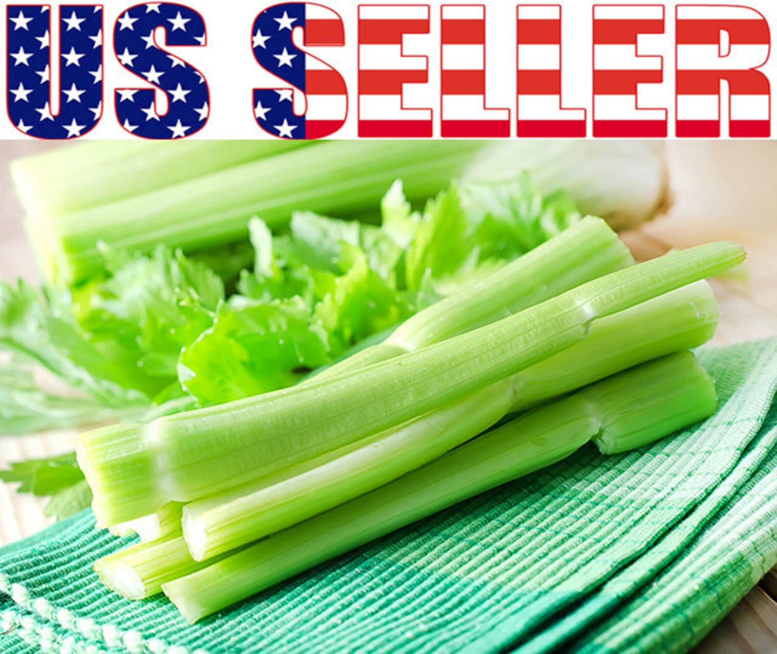 300 Giant Tendercrisp Celery Seeds Heirloom NONGMO Juicy Etsy
