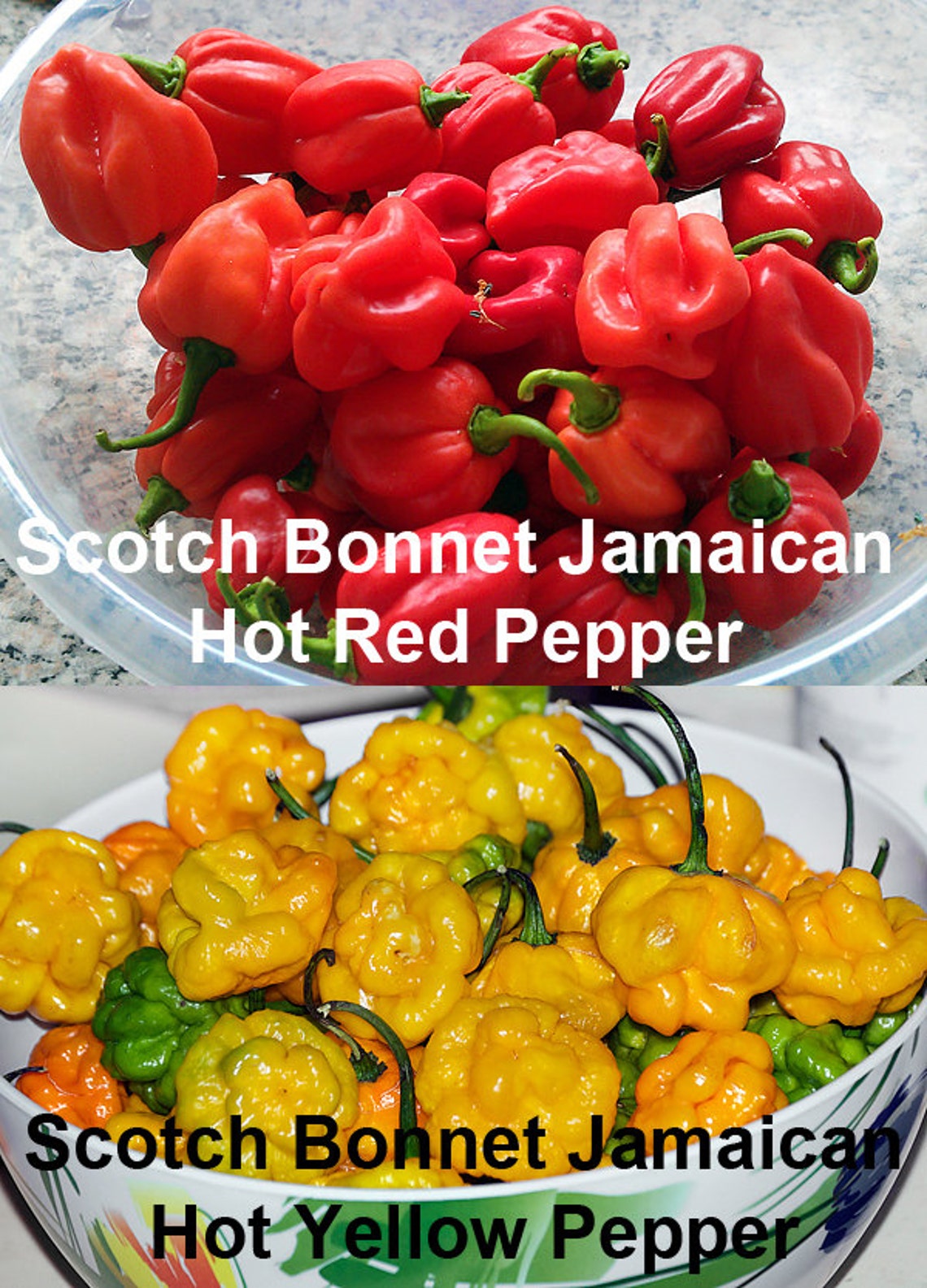 30 Hot Pepper Mix Seeds 16 Varieties Heirloom NONGMO Habanero Etsy