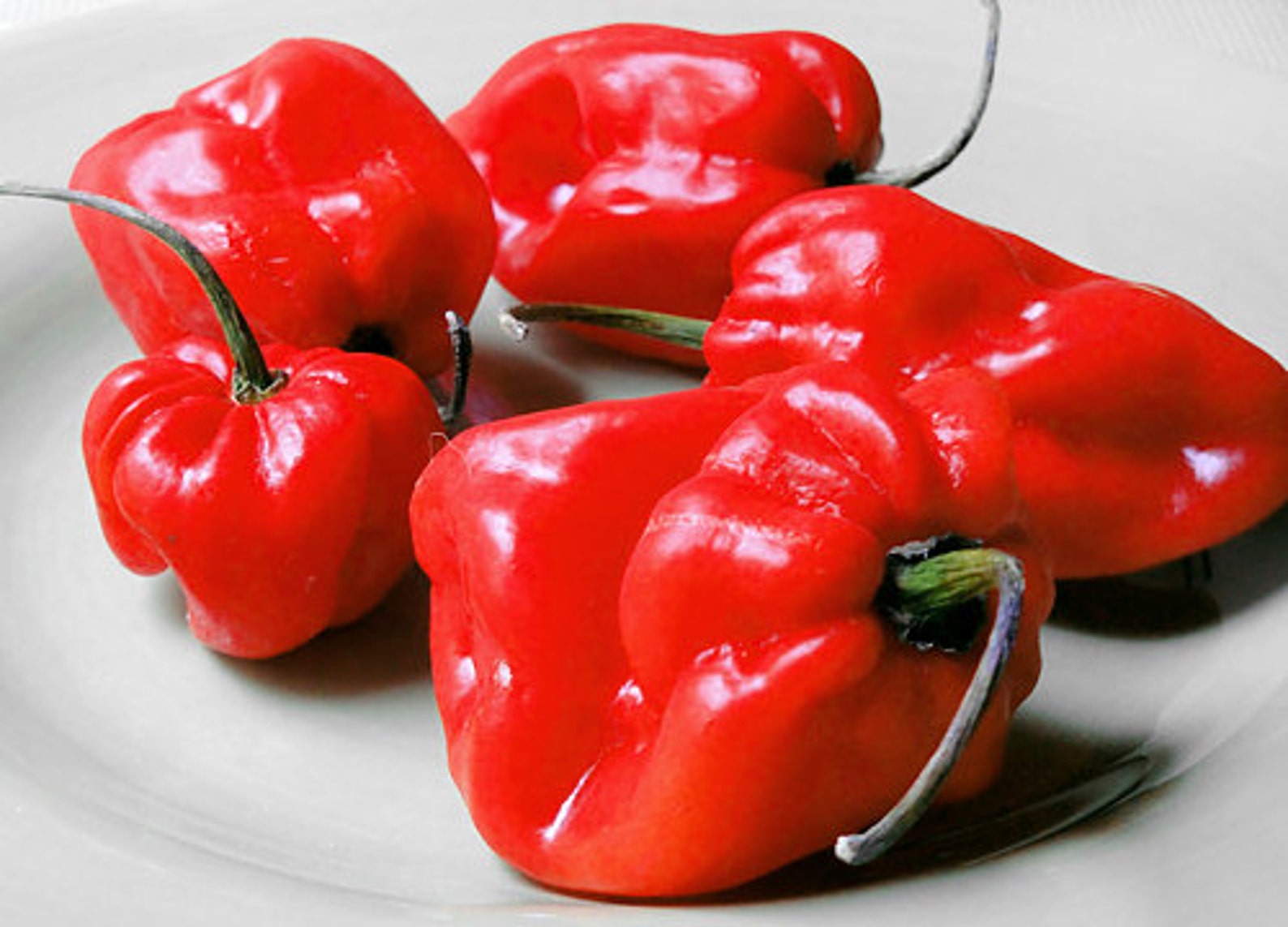 30 Scotch Jamaican Hot Red Pepper Seeds Heirloom Etsy