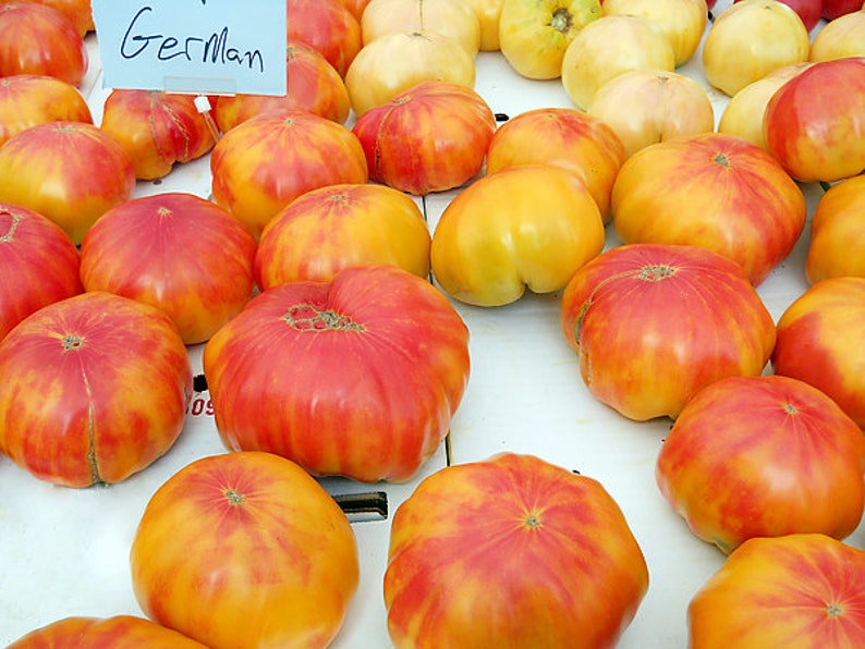 30 Giant Old German Tomato Heirloom NONGMO Rare Rich Flavor Etsy