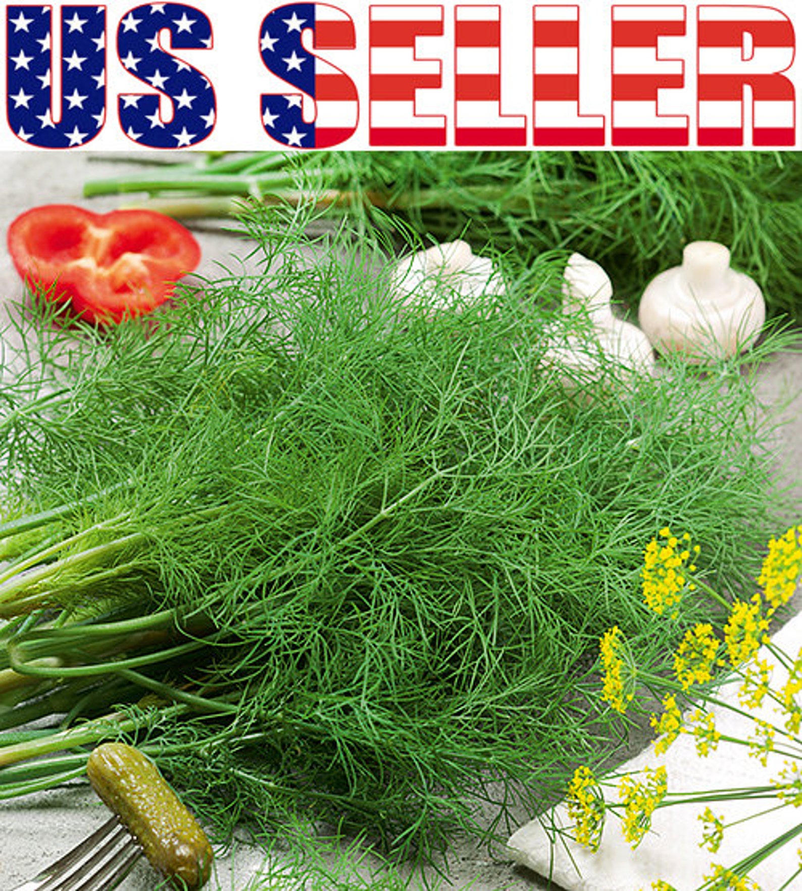 100 ORGANIC Dukat Dill Seeds Heirloom Sweetest Aromatic High Etsy