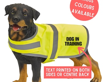 Dog In Training Hi Vis Dog Vest Pet Vest Hi Visibility Dog Walking Vest Safety Hi Viz Pet Vest Gift For Dog Dog Walking Idea Reflective Vest
