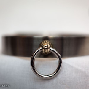 Stainless Steel Choker with Brass Ring Holder