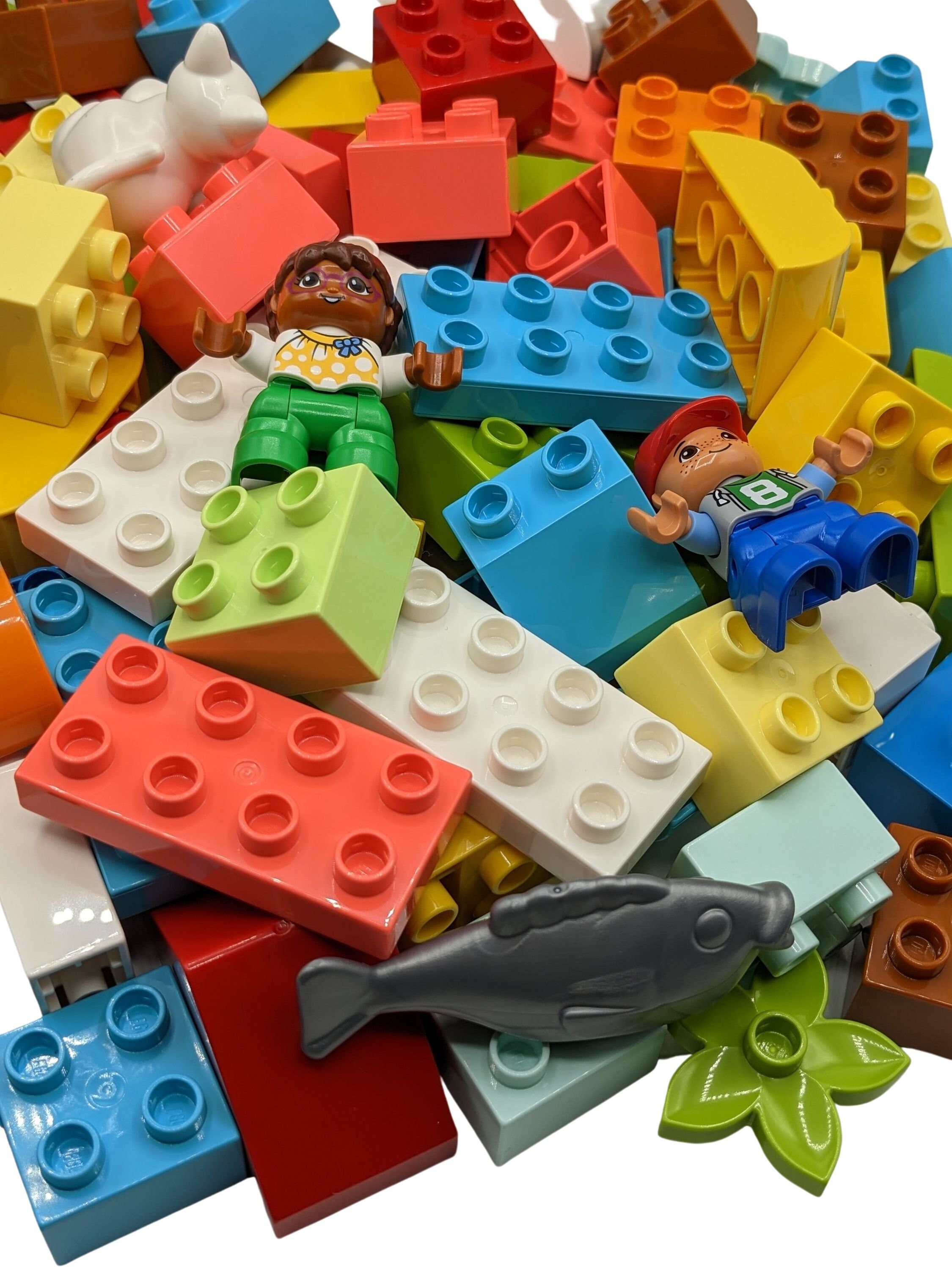 Lego Duplo Lot de 8 briques de construction basiques 2 x 4 picots  Multicolore : : Jeux et Jouets