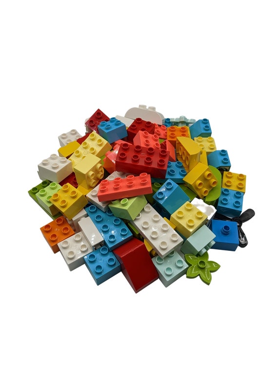 Briques LEGO DUPLO - Blocs de construction en briques Duplo blocs de c –  Stein-Experte