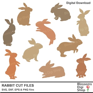 Rabbit cut files, bunny svg, rabbit eps, rabbit vector, easter stencil, rabbit die cut, laser vector, rabbit dxf, commercial use