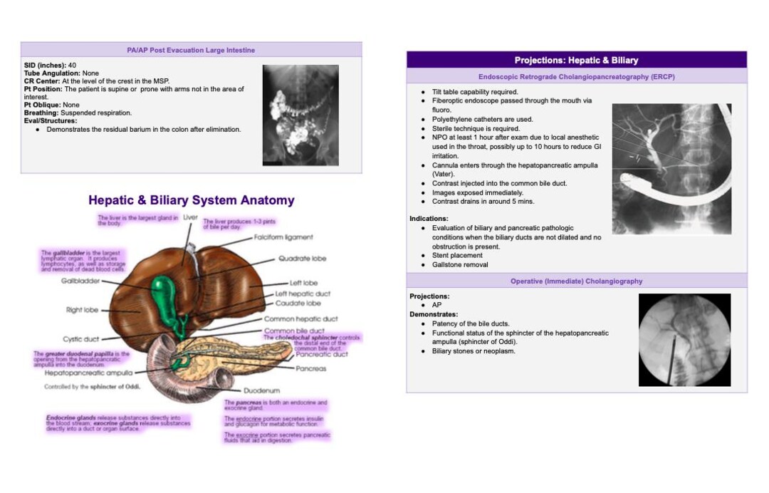 Rad Notes - Digestive & Hepatic System - Radiography Study Guide ...