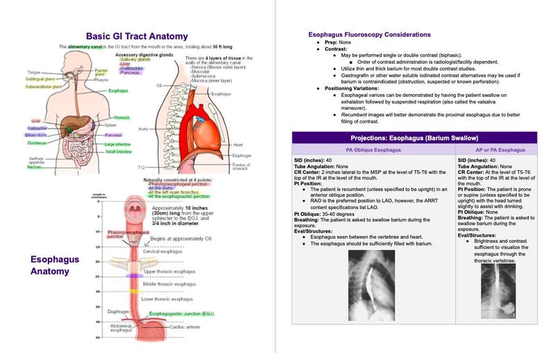 Rad Notes - Digestive & Hepatic System - Radiography Study Guide ...