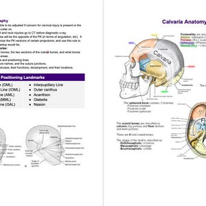 Rad Notes - Head Verfahren - Radiografie Studienführer *Digitale Kopie*