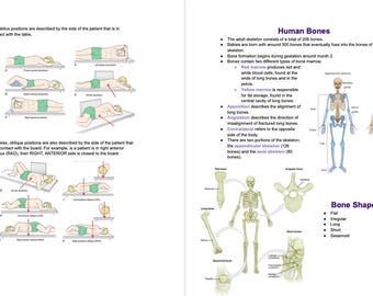Rad Notes - Allgemeine Anatomie- und Lagerungsüberlegungen - Radiografiestudienführer * Digitale Kopie *