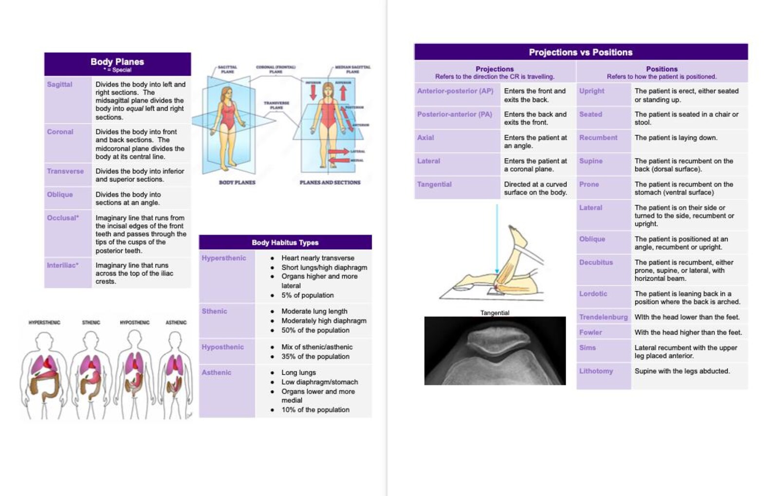 First Year Radiography Notes Rad Notes - General Anatomy & Positioning Considerations - Radiography ...