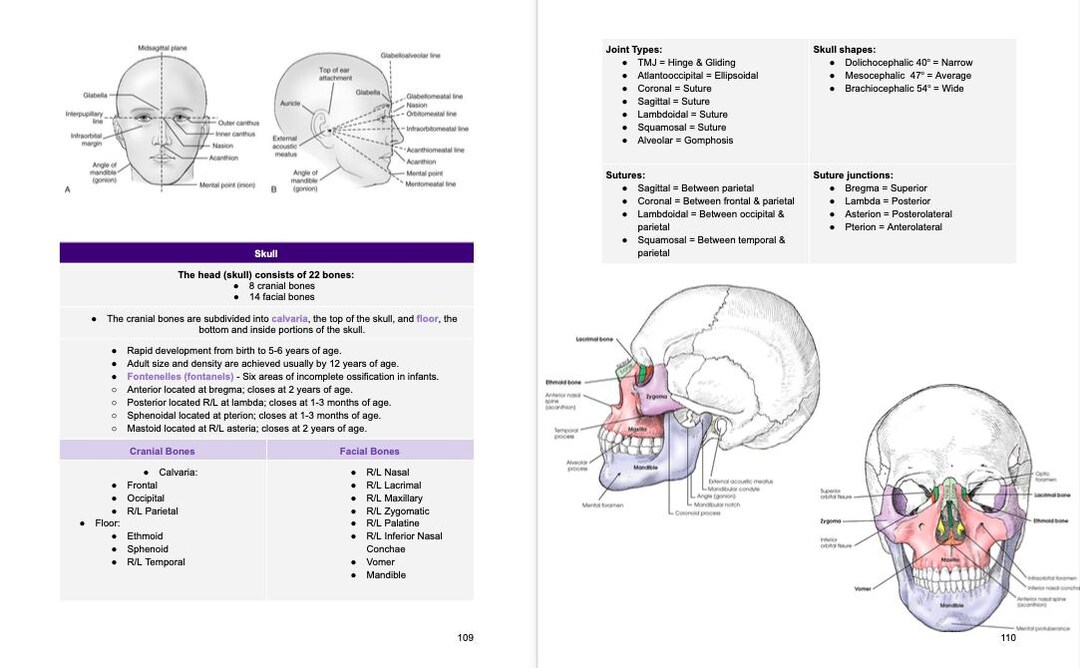 First Year Radiography Notes Rad Notes - Head Procedures - Radiography Study Guide *digital Copy* - Etsy