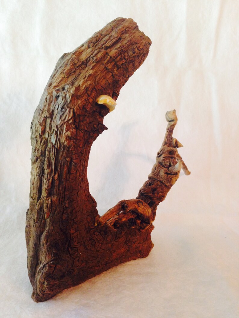 Driftwood Art Etsy
