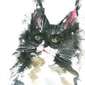 Czarno-biały plakat z kotem Maine Coon ilustracja zwierząt Kot w smokingu Minimalistyczna pocztówka z kotem A5