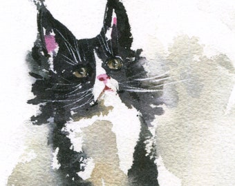 Maine coon cat Watercolor print Black and white cat print Tuxedo cat