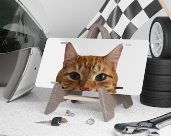 Matrícula frontal personalizada para mascotas: placa de vanidad con foto de perro y gato, etiqueta de coche con nombre de mascota personalizada, regalo lindo para amantes de los animales, accesorio único para coche