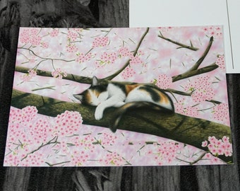Postcard calico cat, japan, cherry flowers, cherry tree, tricolor cat, pink - A6