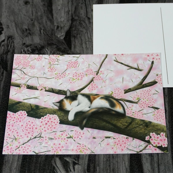 Postkarte, Glückskatze, Japan, Kirschblüten, Kirschbaum, dreifarbige Katze, rosa - A6