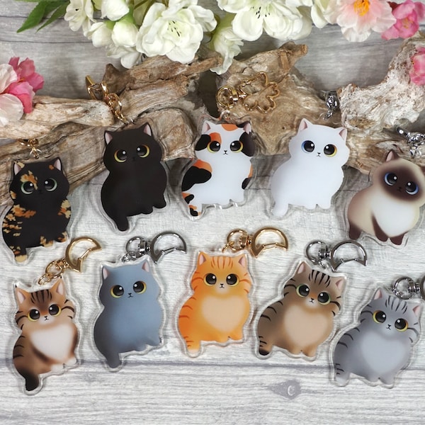 Acrylic pendant, cat, Siamese, Chartreux, Maine Coon, calico, tortoiseshell, tiger, blue, red, brown, gray, black, white, key ring, charm