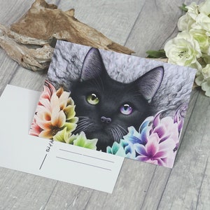 Cartolina, gatto, colorato, fiori, fiori, arcobaleno, nero - A6