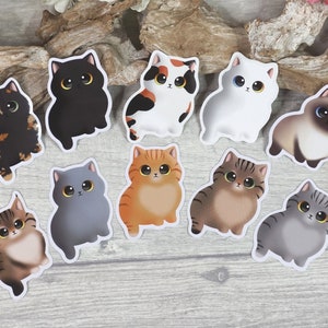Sticker, chat, Siamois, Chartreux, Maine Coon, Angora, chat calico, écaille, tigre, bleu, rouge, marron, gris, noir, blanc, sticker, mignon