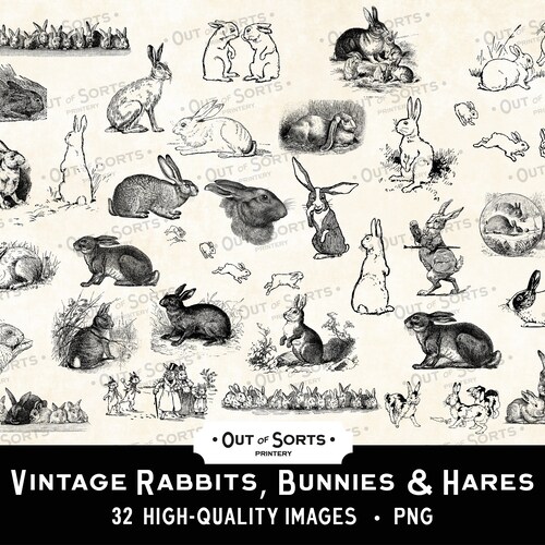 Lapins, lapins et cliparts lièvres, superpositions de Pâques vintage, anciens animaux de la ferme, lapin PNG