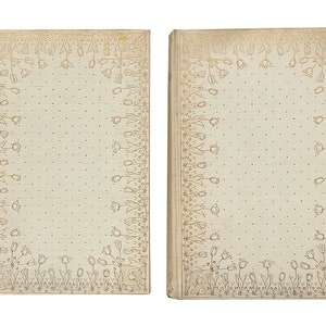 Holland by Edmondo De Amicis [ca. 1894] - Two Volumes