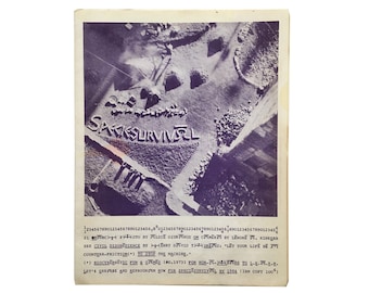 Let&#39;s erase and reprogram now for SpecieSurvival by 1984 by Adam Purple [1984] - Original Pamphlet