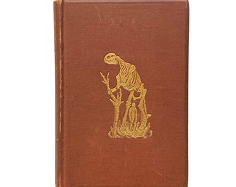 Sketches of Creation by Alexander Winchell (!872)