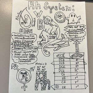 Páginas para colorir do Banco de Sangue (rascunho)