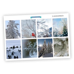 Könnte beinhalten: Eine Collage aus neun winterlichen Bildern mit schneebedeckten Bäumen, einem Kardinal, der auf einem Ast sitzt, einer Nahaufnahme eines Schneeflockes und einer verschneiten Landschaft.