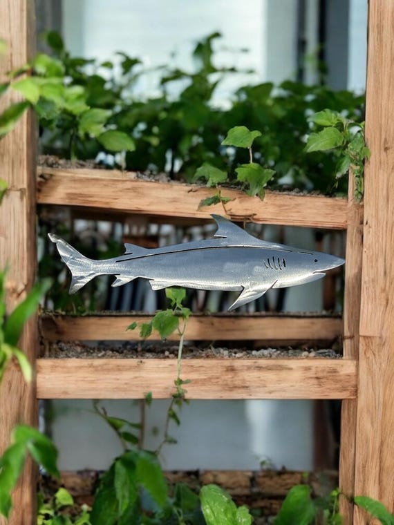Polished Steel Shark wall art. Made out of 18-gauge steel. Has sawtooth Hanger welded on the back. Polished steel with high gloss clear coat